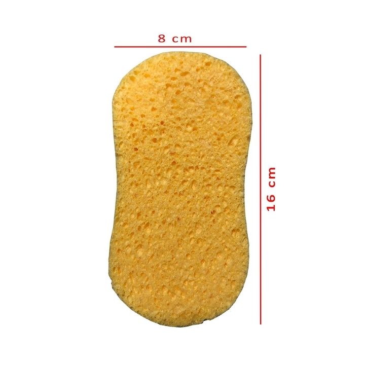 Autoglym Påføringssvamp - Carbix