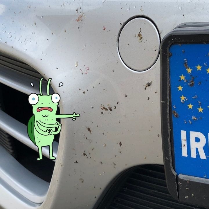 Indlæs video: Autoglym Insektfjerner 500 ml.