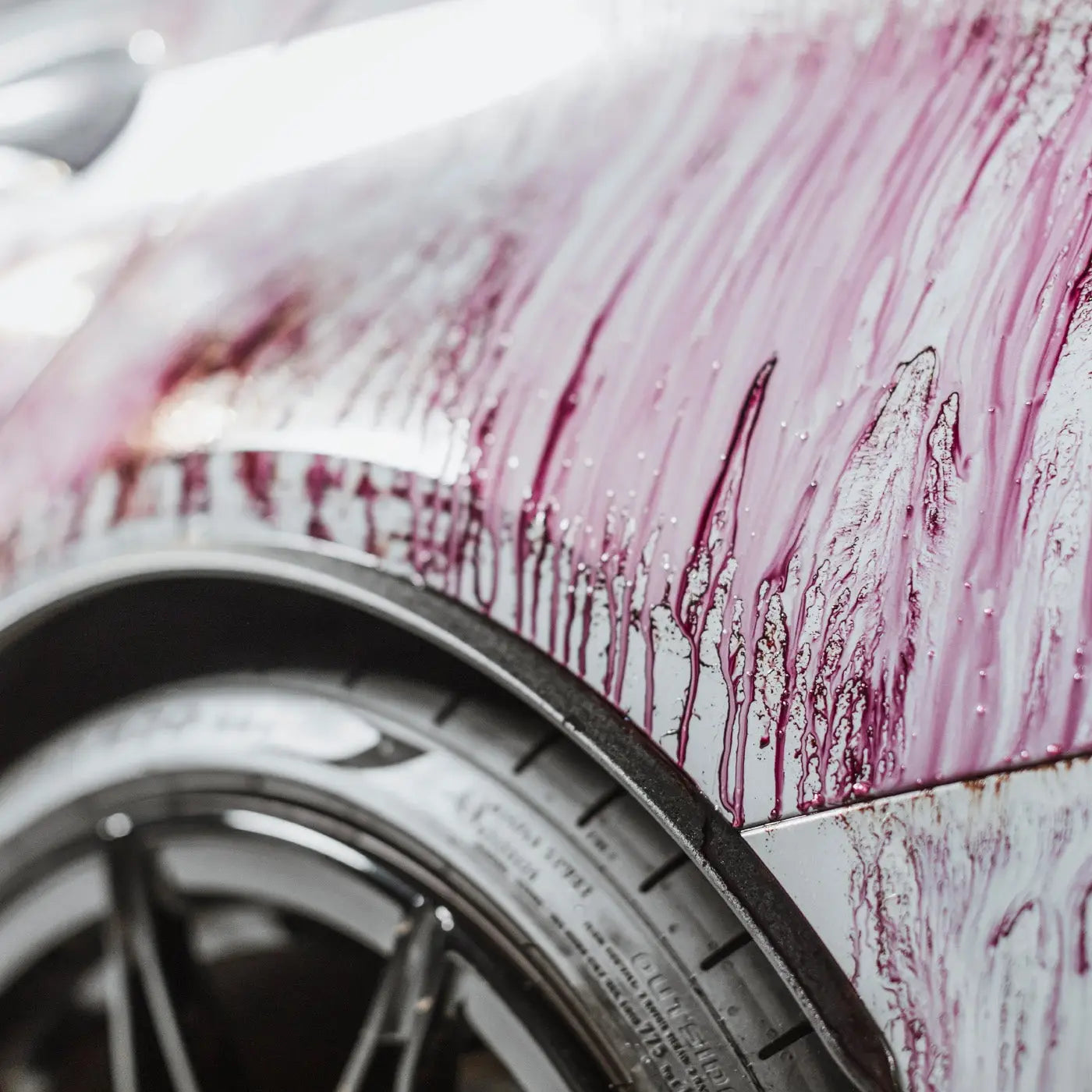 Autoglym Luksus Lakplejesæt