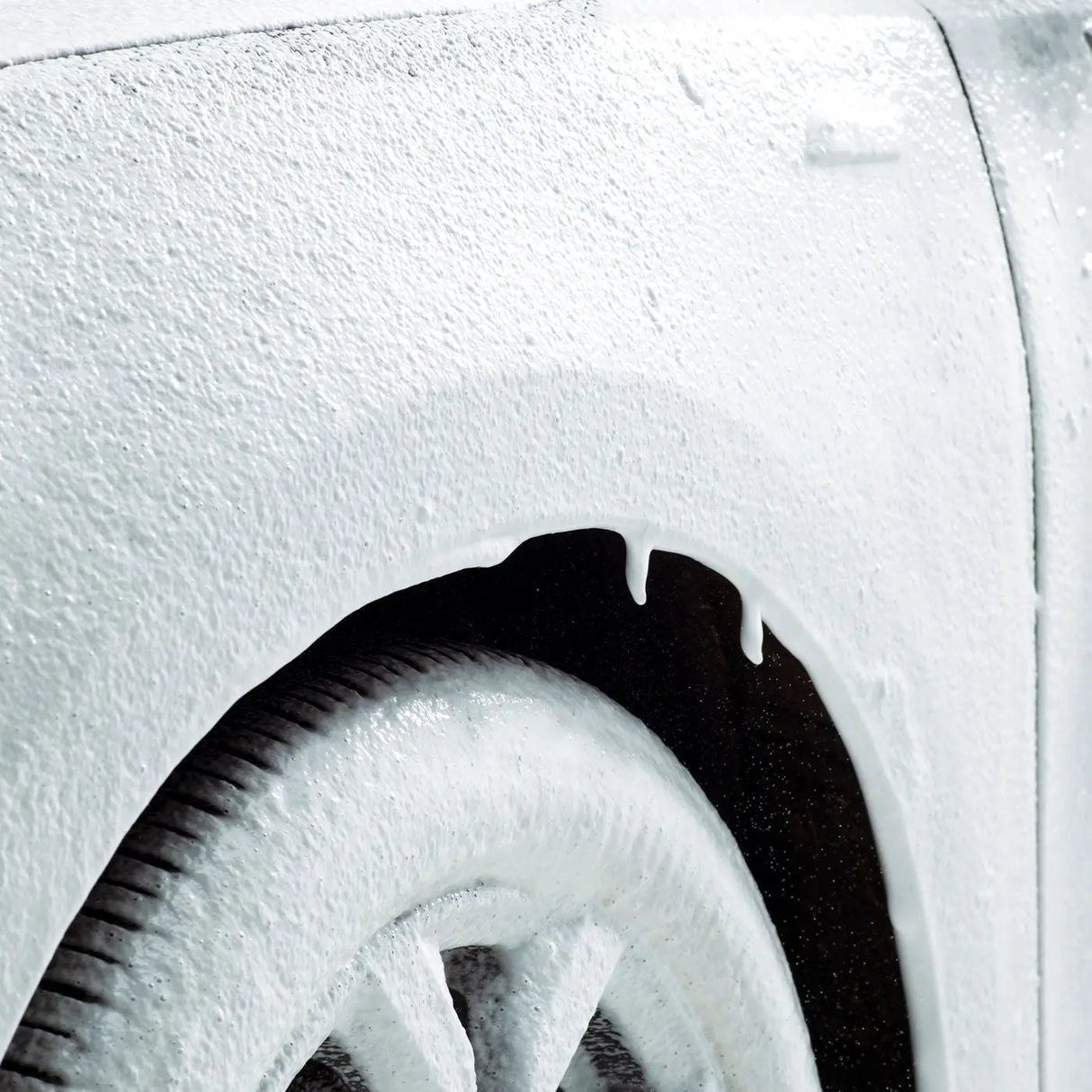 Autoglym Skum Sprayer